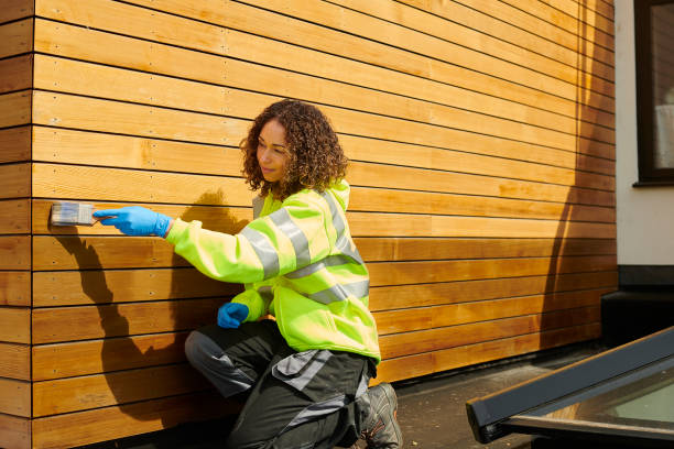 Best Steel Siding Installation  in Dubuque, IA